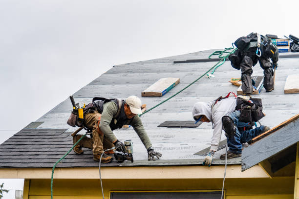 Professional Gutter Installation technician working in Prattville, AL